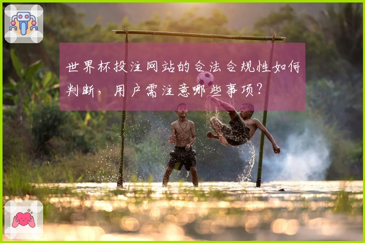 世界杯投注网站的合法合规性如何判断，用户需注意哪些事项？