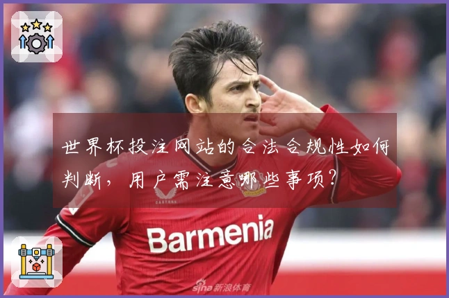 世界杯投注网站的合法合规性如何判断，用户需注意哪些事项？