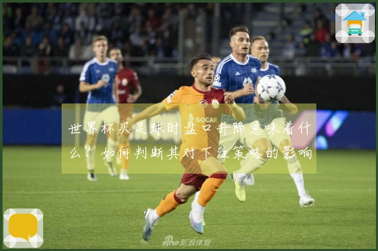 世界杯买足球时盘口升降意味着什么？如何判断其对下注策略的影响？