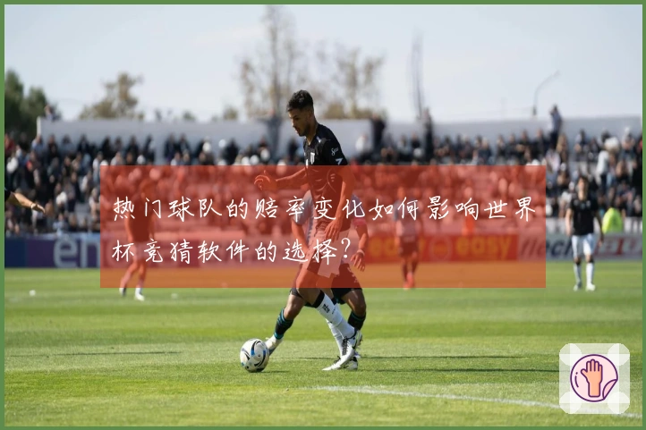 热门球队的赔率变化如何影响世界杯竞猜软件的选择？